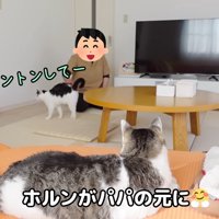 トントンしてー