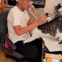 膝に乗ろうとする猫を押し戻す代表