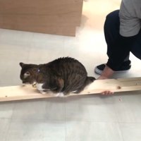 持ち上げて