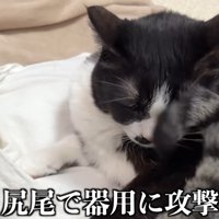 尻尾で器用に攻撃