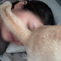 顔に猫のお尻をくっつけられている女性