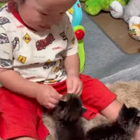 嬉しそうに赤ちゃん猫を見る