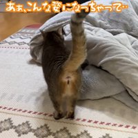 後ろ姿