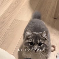 「おしりフリフリして、、」のテロップ写真