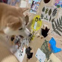 遊んでいるかのようなももちゃんと空ちゃん