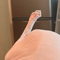 丸い物体から生えている棒状のもの