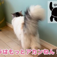 逃げるつくしちゃん