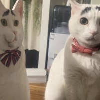 口が閉じているパネルの真横でお座りしている猫（耳横向き）