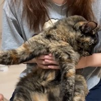 猫の様子