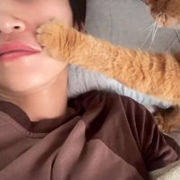 飼い主の顔に前足をかけて起こす猫