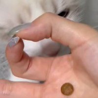 親指と人差し指で輪っかを作る女性