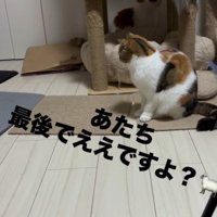 「あたち最後で…」と書かれた写真