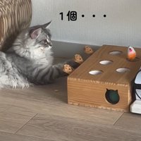 「1個・・・」と書かれた写真