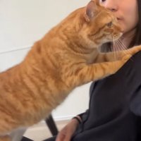 肩に前足