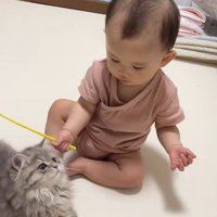 座っている赤ちゃんと子猫