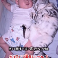 赤ちゃんと添い寝する猫