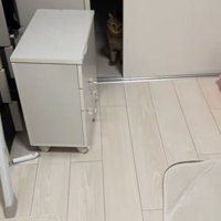 陰から見つめるみにら君2