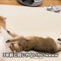 3年前と同じ