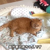 我が家の赤ちゃんです