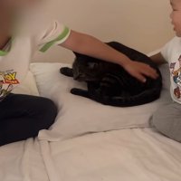 ベッドの上にいる子供と猫