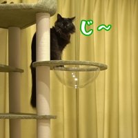 「じ～」と書いてある写真