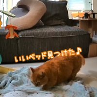 いいベッド見つけた♪