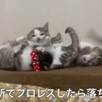 こんな所で(右端の子が落下)