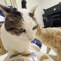 座り込む姿
