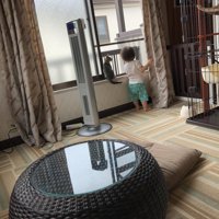 窓辺の女の子と猫