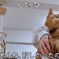 テロップ「ごめんね、寂しかったの？」