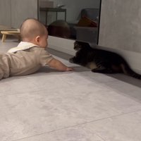 テレビボード下に手を伸ばす赤ちゃん