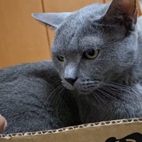 手を見て