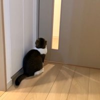 ドアの前で待機