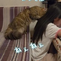 子どもの肩に両方の前足を乗せる猫
