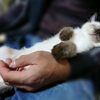 0歳のこじろーくん