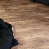 制服で寝転ぶ猫