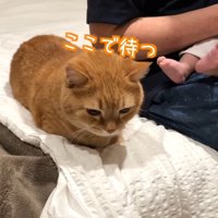ここで待つ