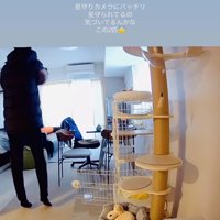 パパに抱っこされる保護猫