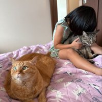 猫吸いされる猫と順番待ちの猫