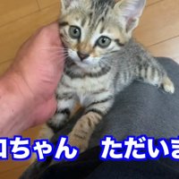 タロちゃんただいま