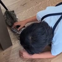 伏せる子猫