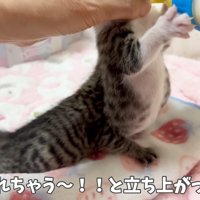 取られちゃう〜！！