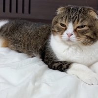 眠そうなぽこ太郎くん