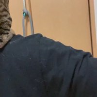 肩の上