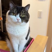 こちらを向いた姿