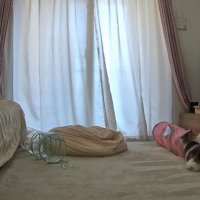 振りかぶる後ろ姿