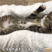 へそ天ひまわりちゃん