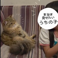 猫と見つめ合う子ども