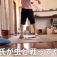 虫を捕まえようとする旦那さん