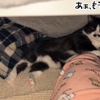 あぁ、もうダメだ…